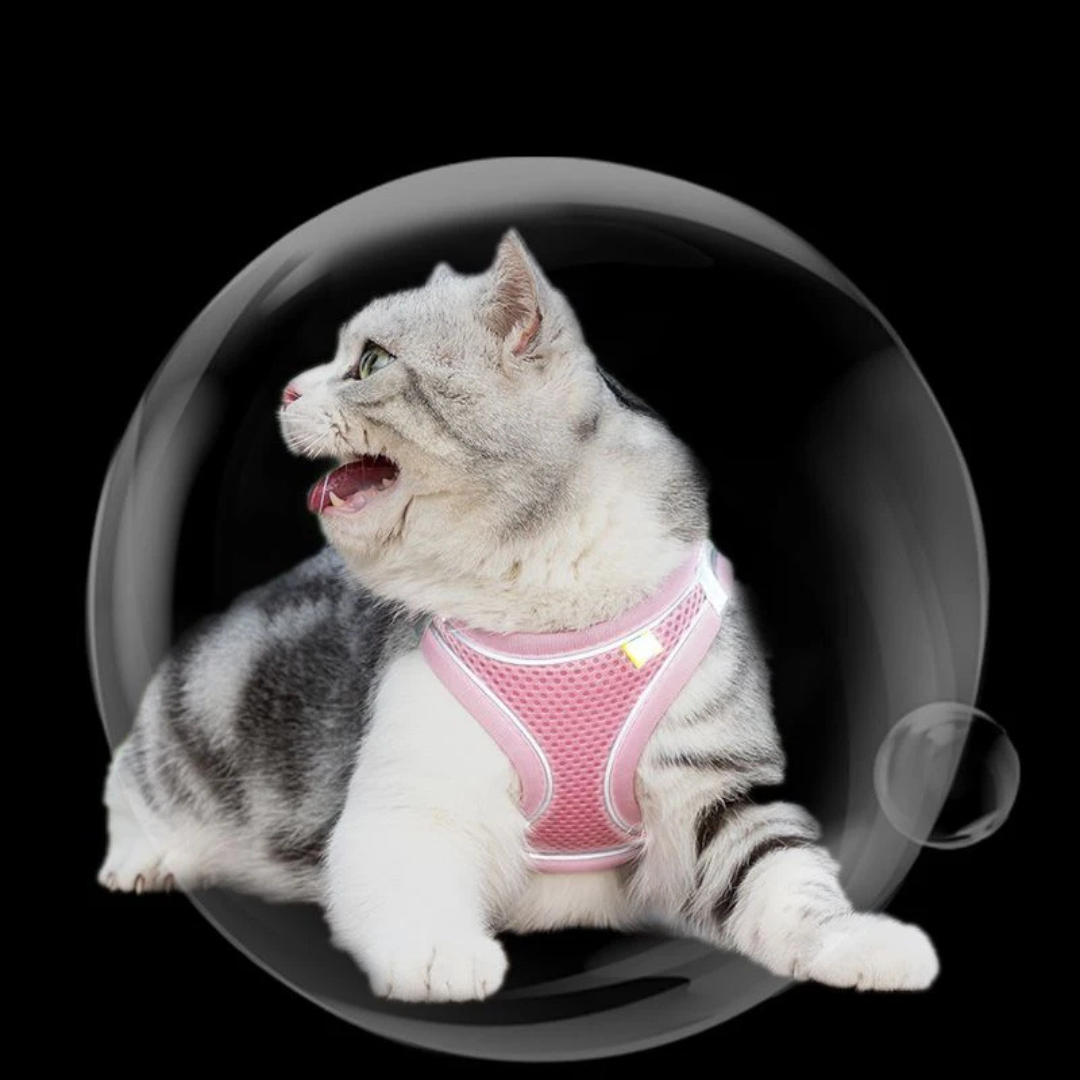 Coleira Peitoral com Guia à Prova de Fugas para Gatos
