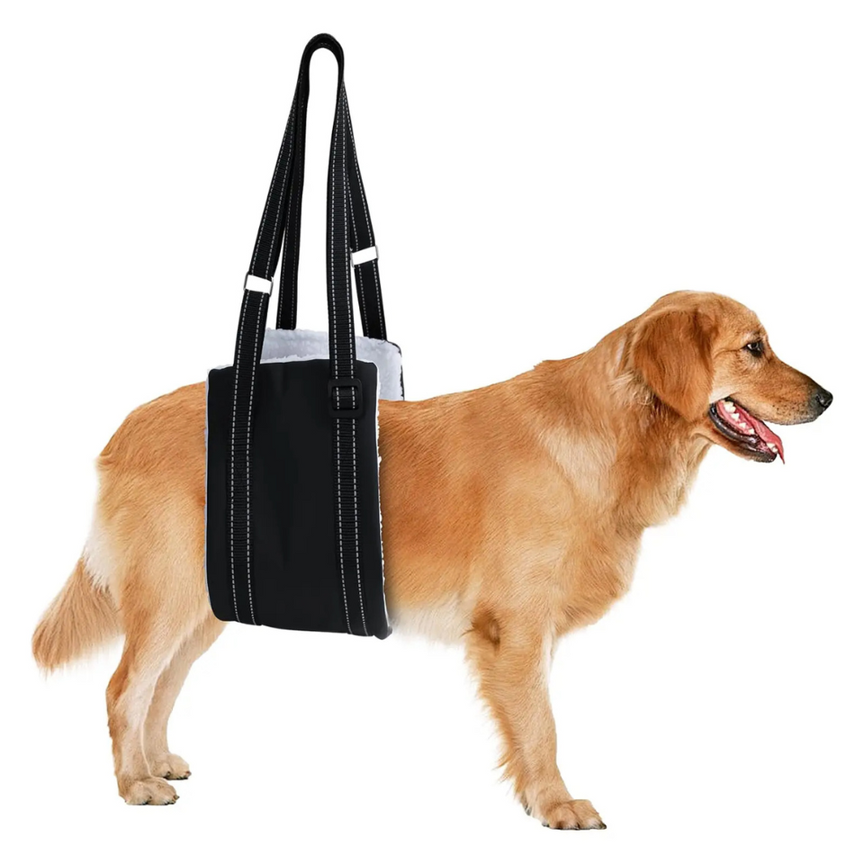Suporte Sling Apoio para Cachorros com Dificuldade de Caminhar Lesão - Arnês