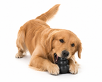 Brinquedo Kong Classic Interativo para Cachorros