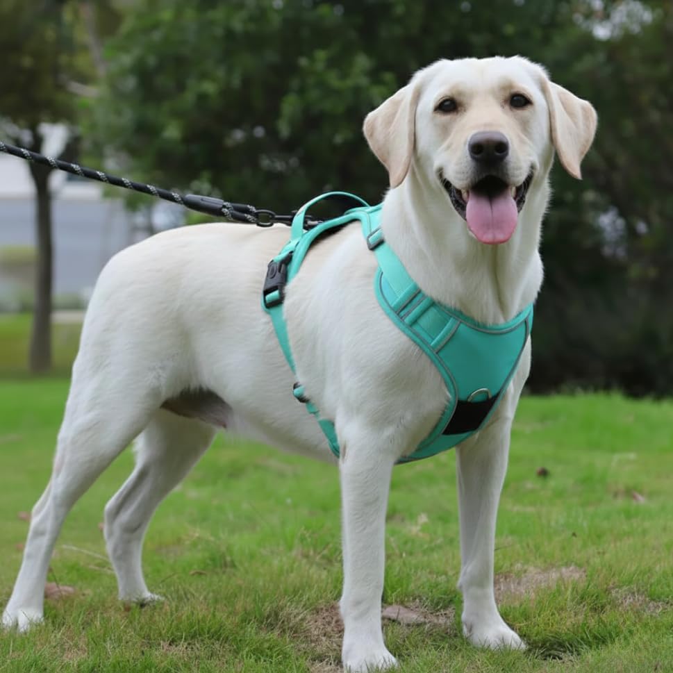 Peitoral Refletivo Ajustável para Cães com Suporte para AirTag – Confortável e Seguro