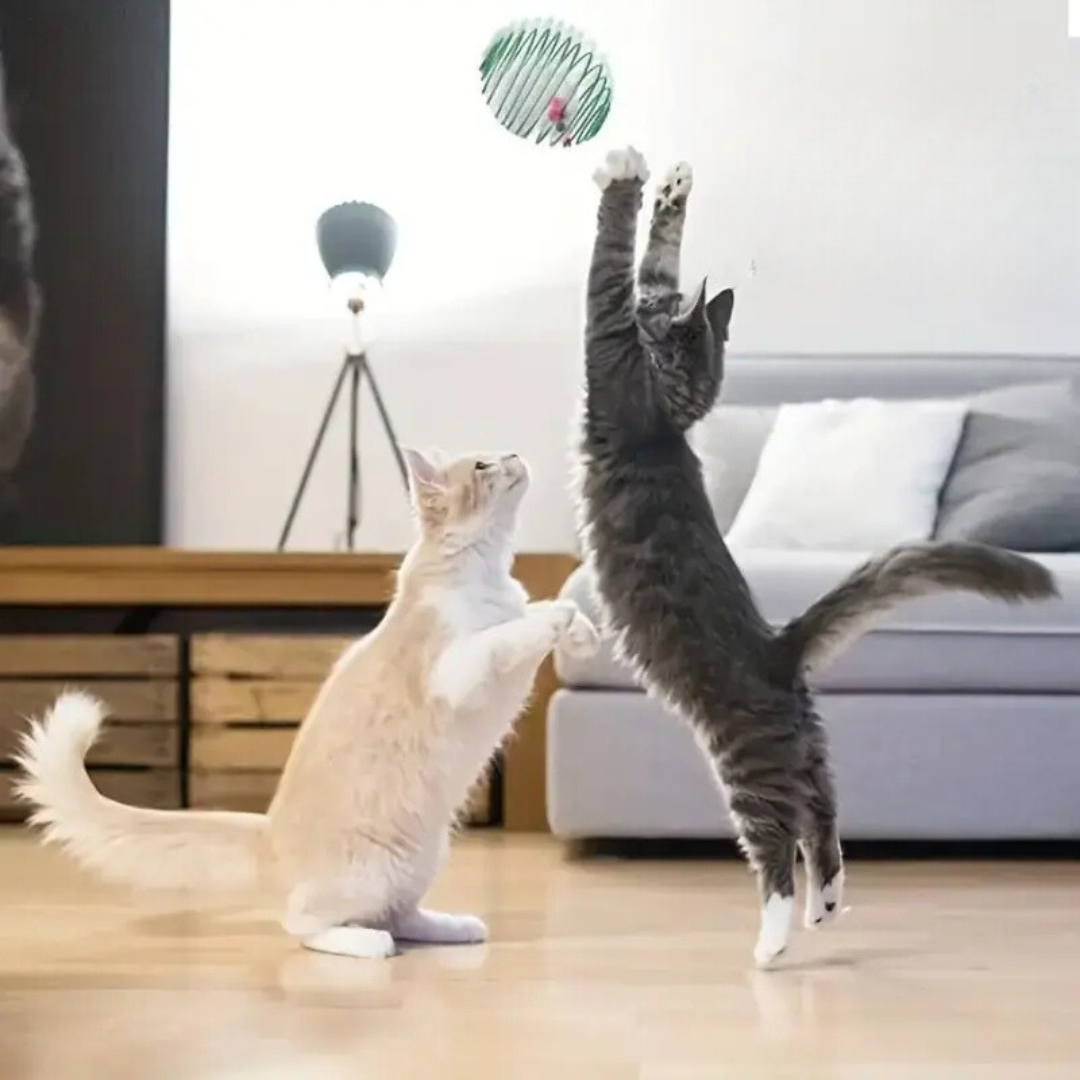Brinquedo Mola Elástica para Gatos - StretchBall™