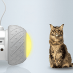 CATS MEOW ® – Rodinha Interativa para Gatos