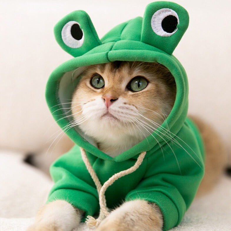 Moletom Amazing Frog - CatStyle™ Para Gatos