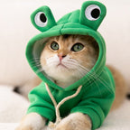 Moletom Amazing Frog - CatStyle™ Para Gatos
