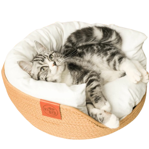 Cama de Bambu Natural para Pet com Travesseiros - Woofline