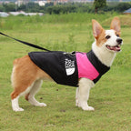 Jaqueta Impermeável Acolchoada com Zíper - TheDogFace™ para Cães