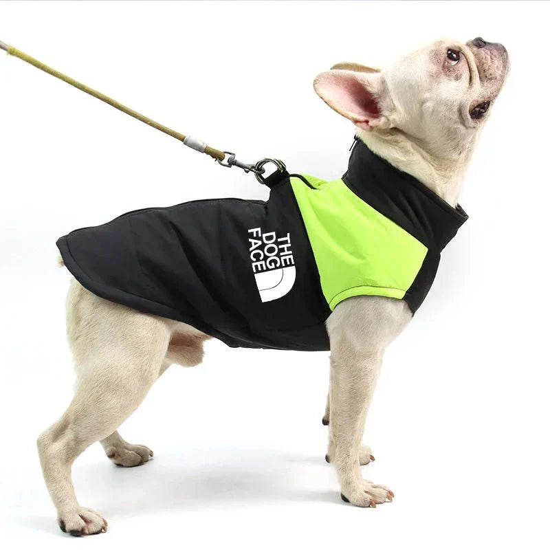 Jaqueta Impermeável Acolchoada com Zíper - TheDogFace™ para Cães