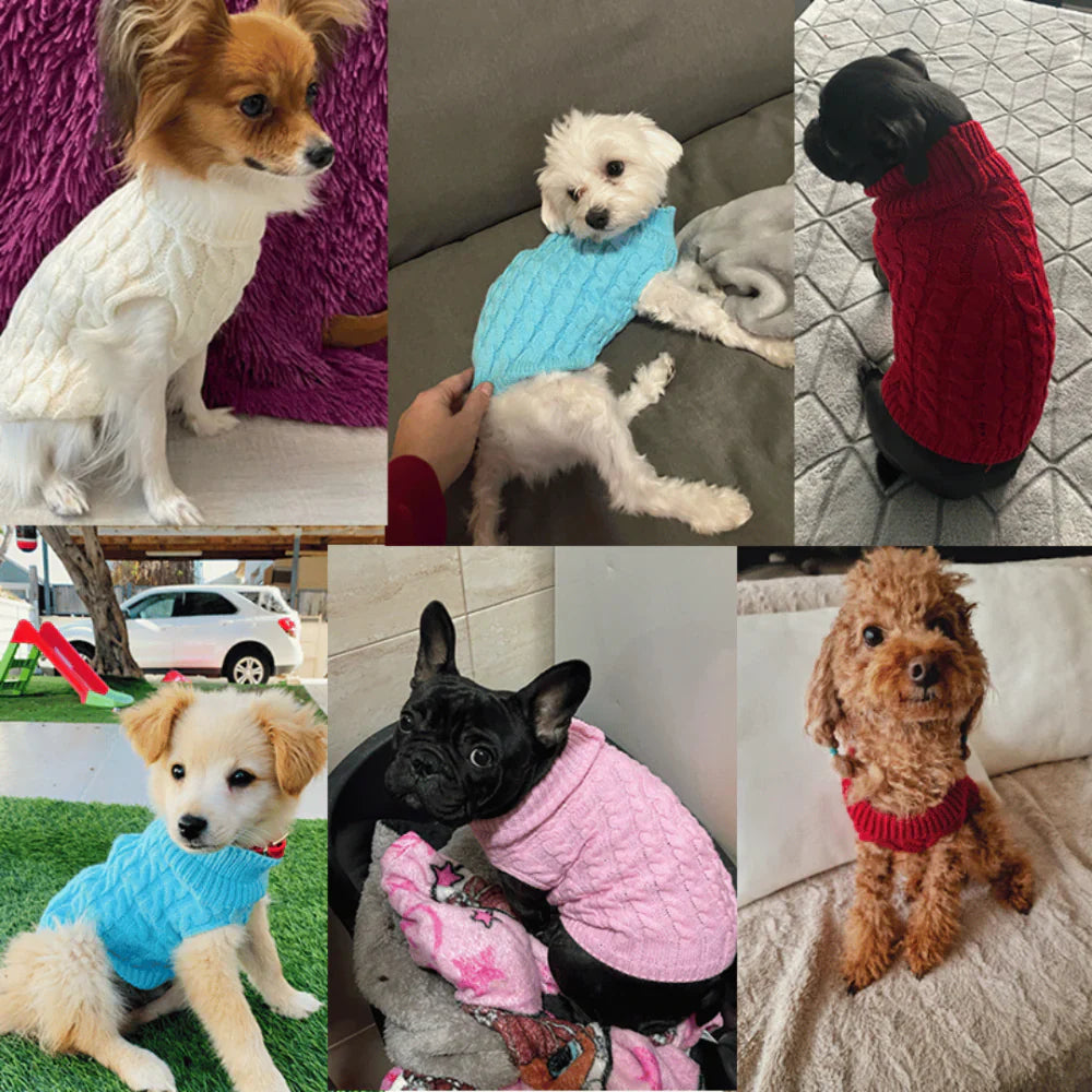 Suéter de Lã Premium - WinterPaws™ para Cães