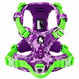 Roxo e Verde